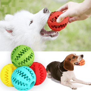 Pelota interactiva para mascotas