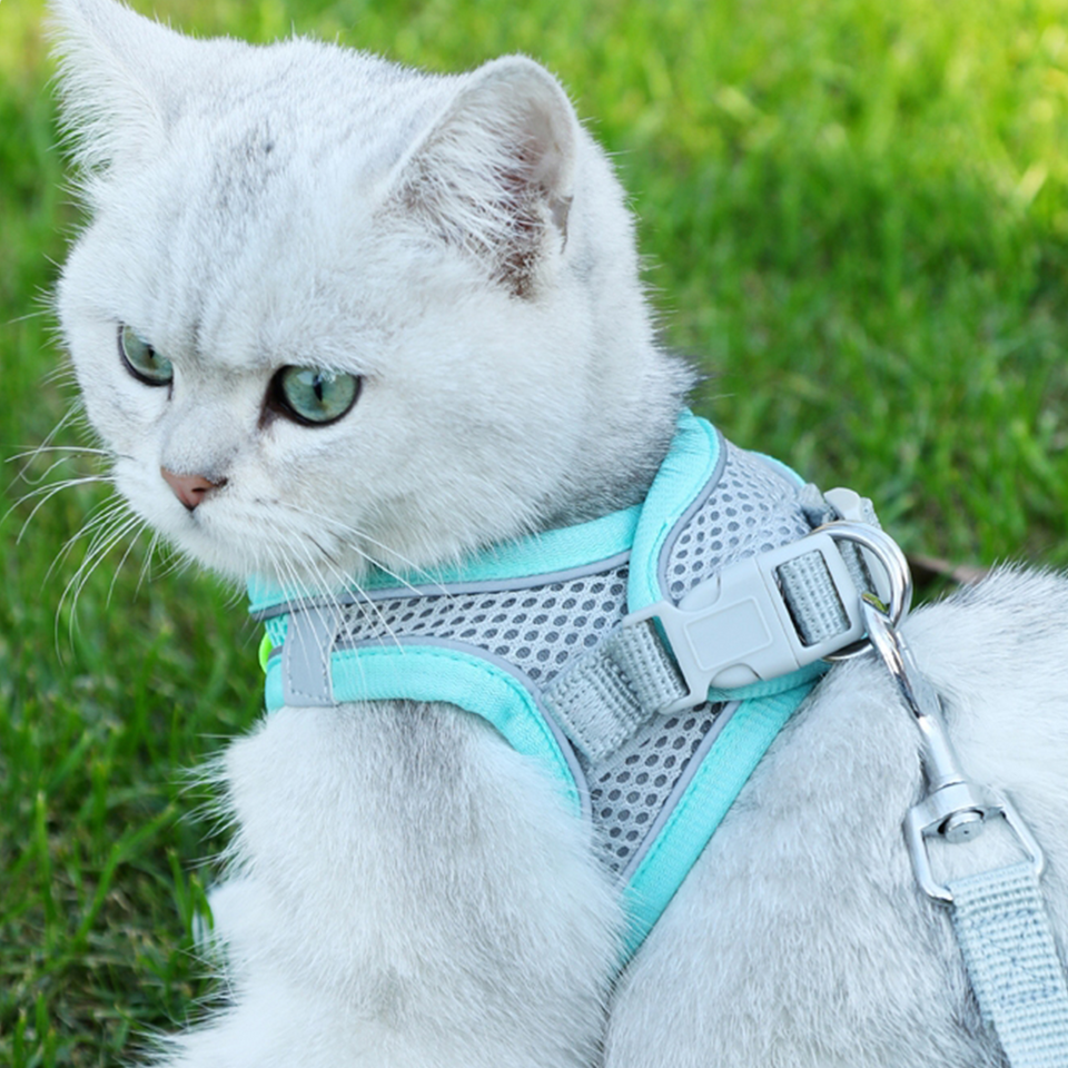 Collar reflectante para mascotas